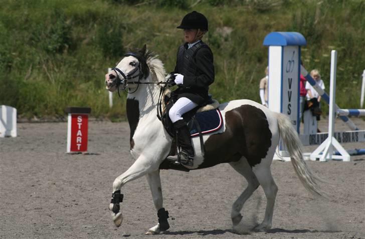 Spring i DSM rideklub den 21 juni 2009 billede 66