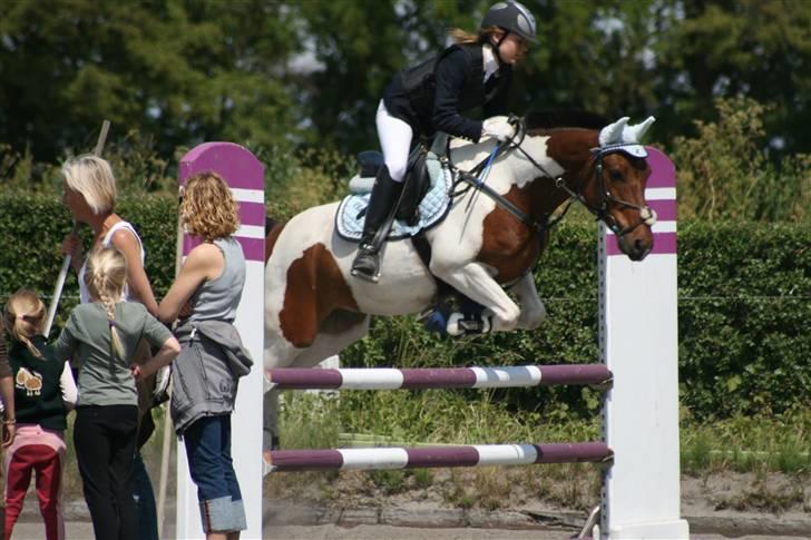 Spring i DSM rideklub den 21 juni 2009 billede 69