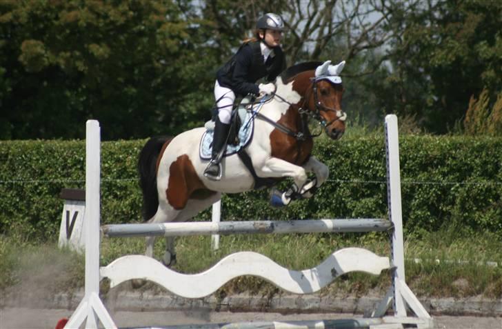 Spring i DSM rideklub den 21 juni 2009 billede 71