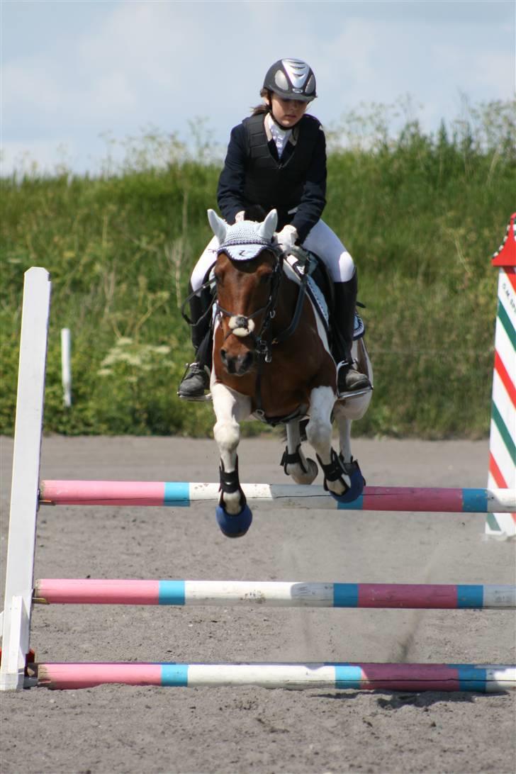 Spring i DSM rideklub den 21 juni 2009 billede 73