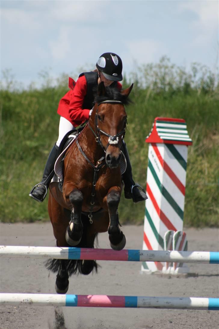 Spring i DSM rideklub den 21 juni 2009 billede 75