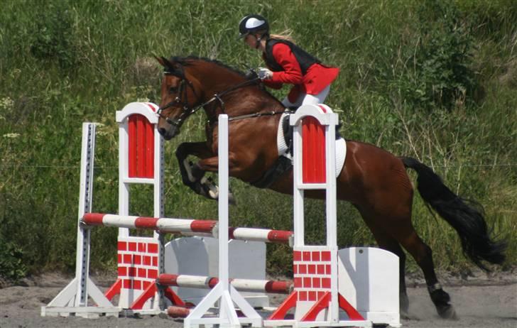 Spring i DSM rideklub den 21 juni 2009 billede 76