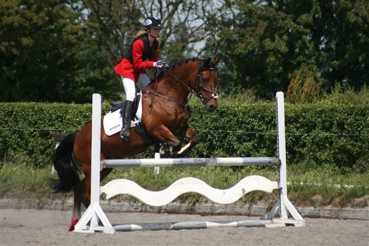 Spring i DSM rideklub den 21 juni 2009 billede 80