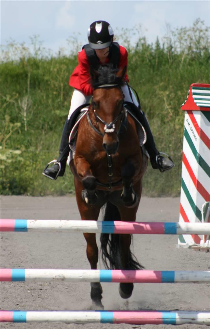 Spring i DSM rideklub den 21 juni 2009 billede 82