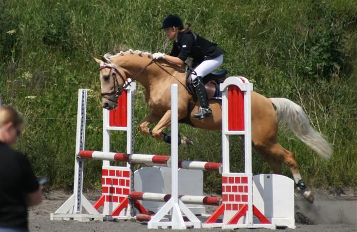 Spring i DSM rideklub den 21 juni 2009 billede 83