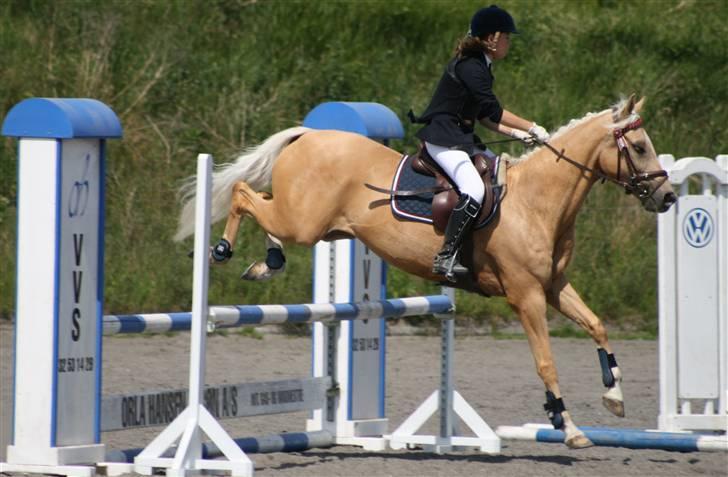 Spring i DSM rideklub den 21 juni 2009 billede 84