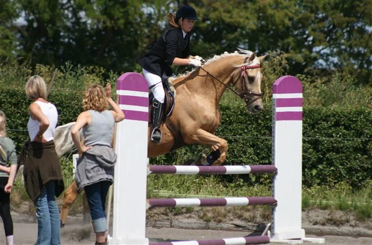 Spring i DSM rideklub den 21 juni 2009 billede 85