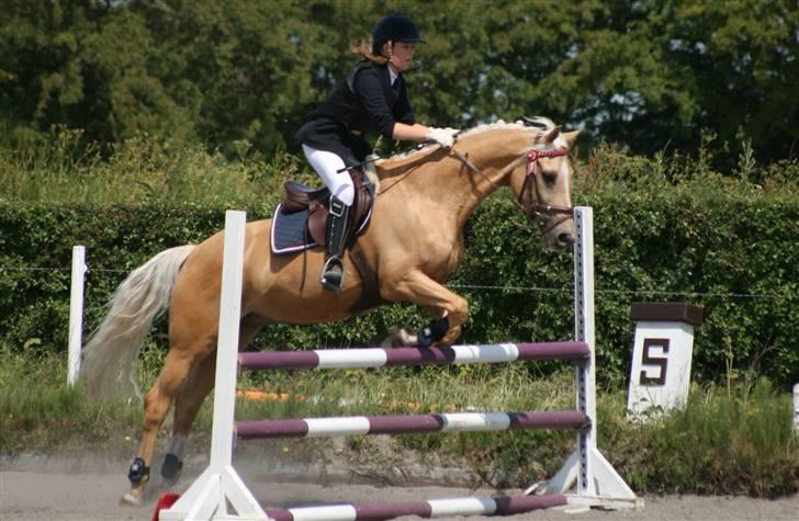 Spring i DSM rideklub den 21 juni 2009 billede 86