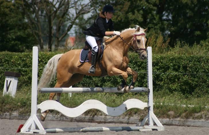 Spring i DSM rideklub den 21 juni 2009 billede 87