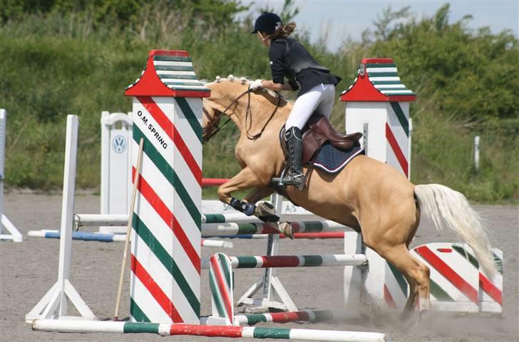 Spring i DSM rideklub den 21 juni 2009 billede 88