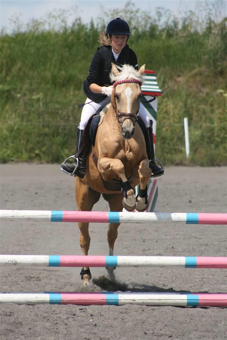 Spring i DSM rideklub den 21 juni 2009 billede 89