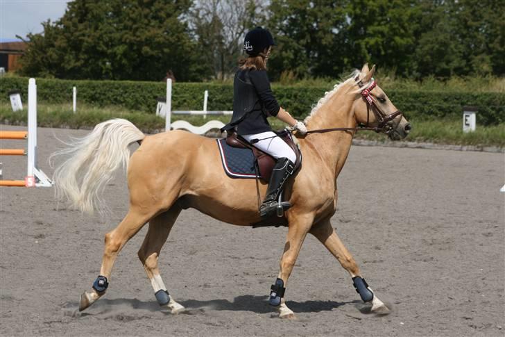 Spring i DSM rideklub den 21 juni 2009 billede 90