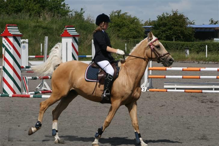 Spring i DSM rideklub den 21 juni 2009 billede 91