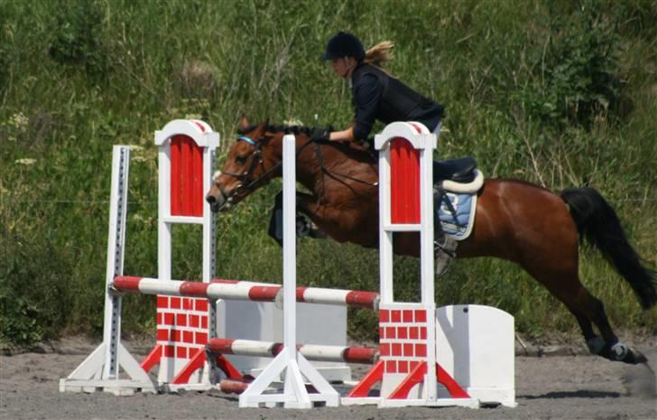 Spring i DSM rideklub den 21 juni 2009 billede 92