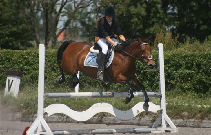 Spring i DSM rideklub den 21 juni 2009 billede 94