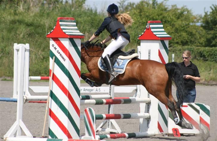 Spring i DSM rideklub den 21 juni 2009 billede 95