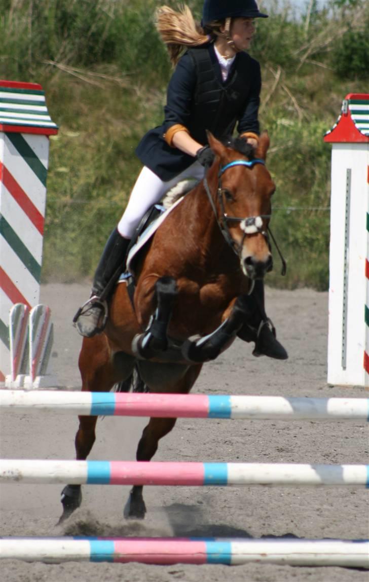 Spring i DSM rideklub den 21 juni 2009 billede 96