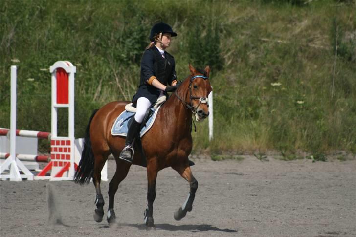 Spring i DSM rideklub den 21 juni 2009 billede 97