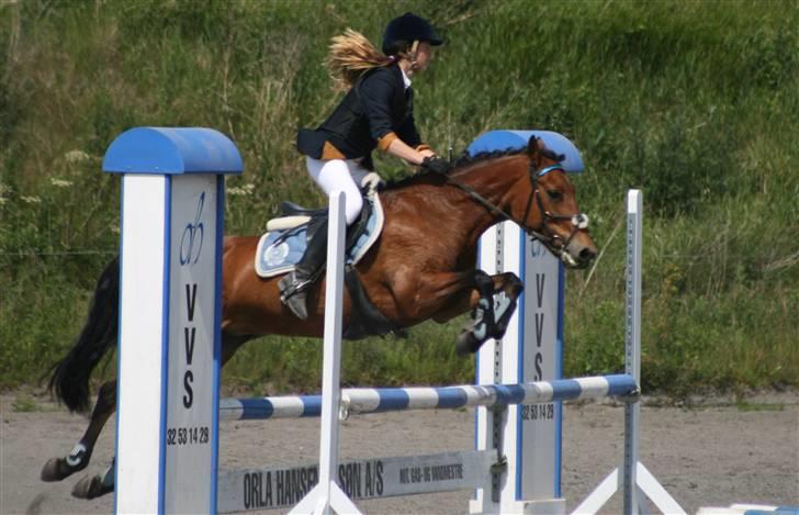 Spring i DSM rideklub den 21 juni 2009 billede 100