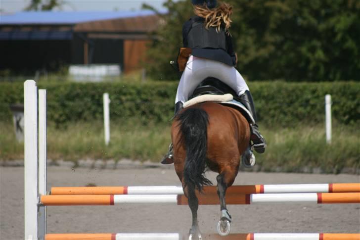 Spring i DSM rideklub den 21 juni 2009 billede 101