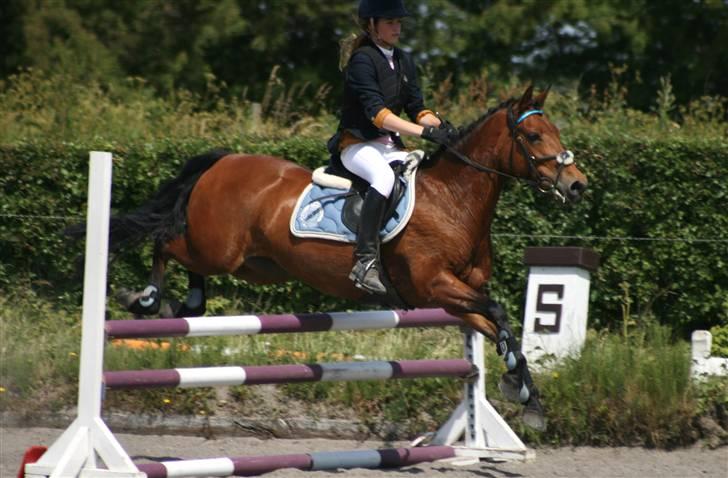 Spring i DSM rideklub den 21 juni 2009 billede 103