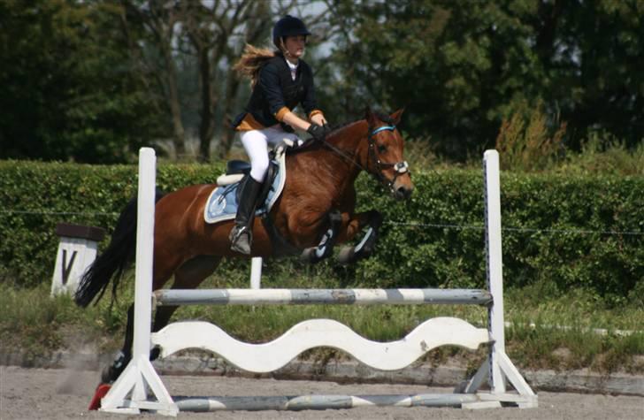 Spring i DSM rideklub den 21 juni 2009 billede 104