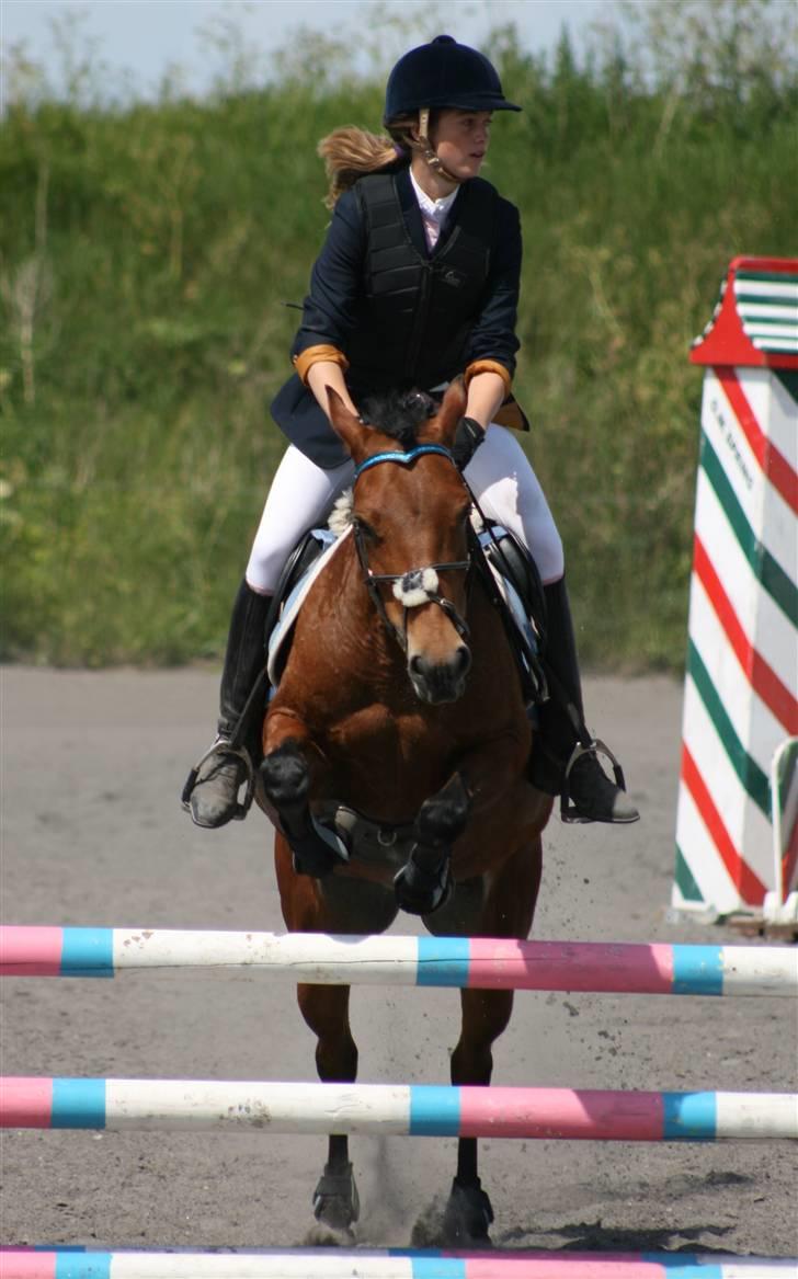 Spring i DSM rideklub den 21 juni 2009 billede 106