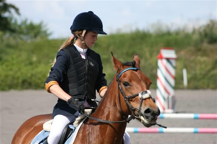 Spring i DSM rideklub den 21 juni 2009 billede 109