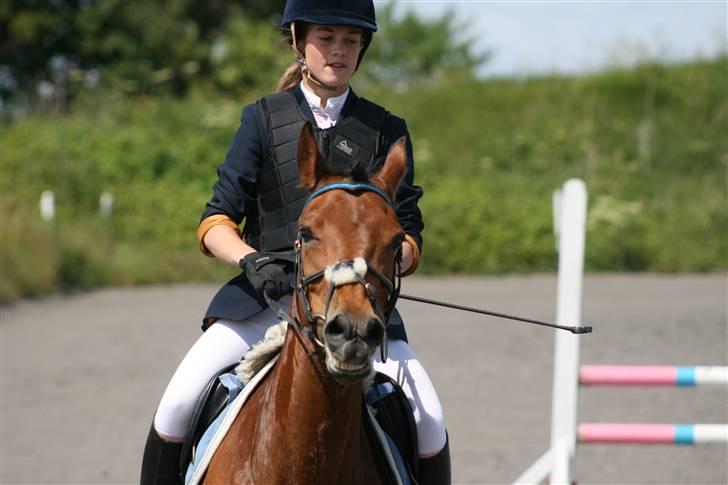 Spring i DSM rideklub den 21 juni 2009 billede 110