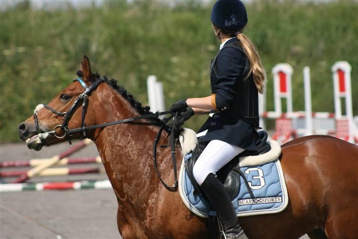 Spring i DSM rideklub den 21 juni 2009 billede 111