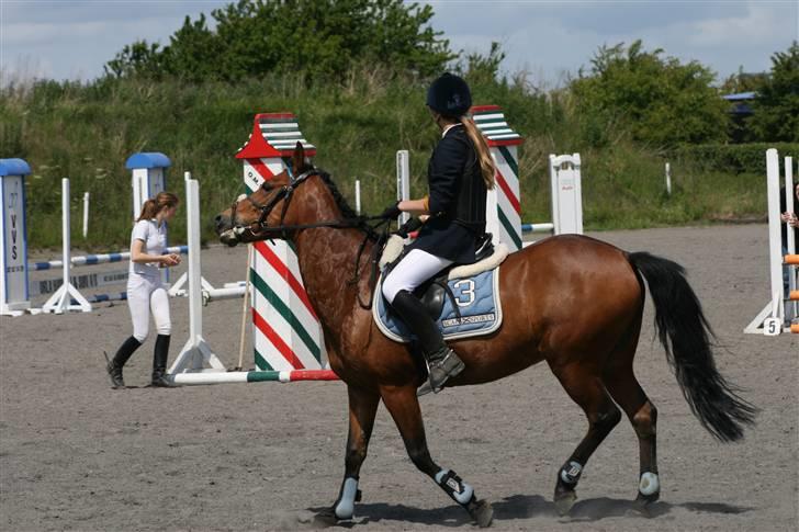 Spring i DSM rideklub den 21 juni 2009 billede 112