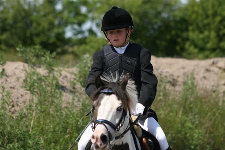 Spring i DSM rideklub den 21 juni 2009 billede 114