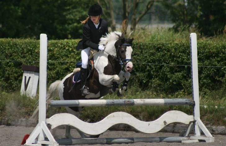 Spring i DSM rideklub den 21 juni 2009 billede 115