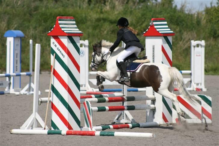 Spring i DSM rideklub den 21 juni 2009 billede 117