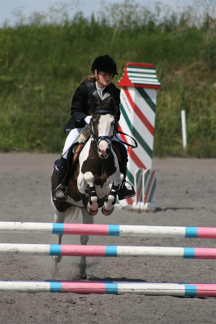 Spring i DSM rideklub den 21 juni 2009 billede 118