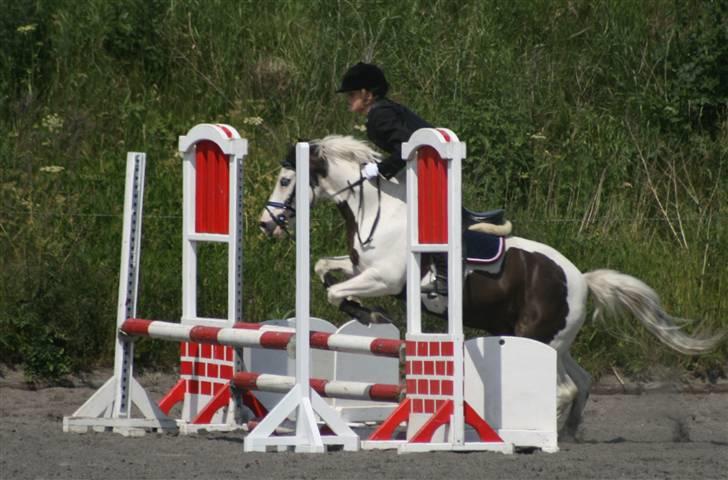 Spring i DSM rideklub den 21 juni 2009 billede 119