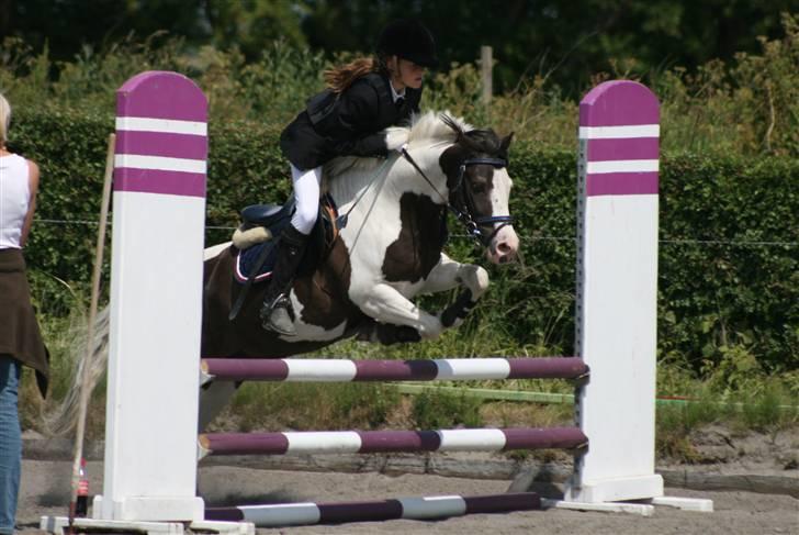 Spring i DSM rideklub den 21 juni 2009 billede 121