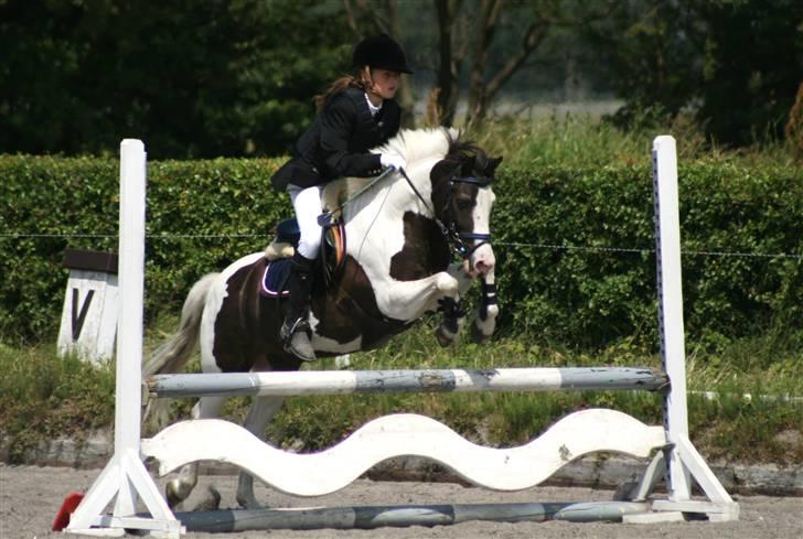 Spring i DSM rideklub den 21 juni 2009 billede 123