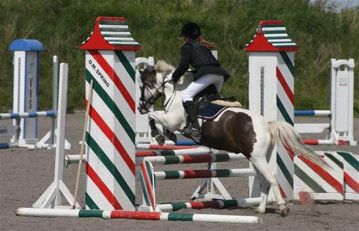 Spring i DSM rideklub den 21 juni 2009 billede 124