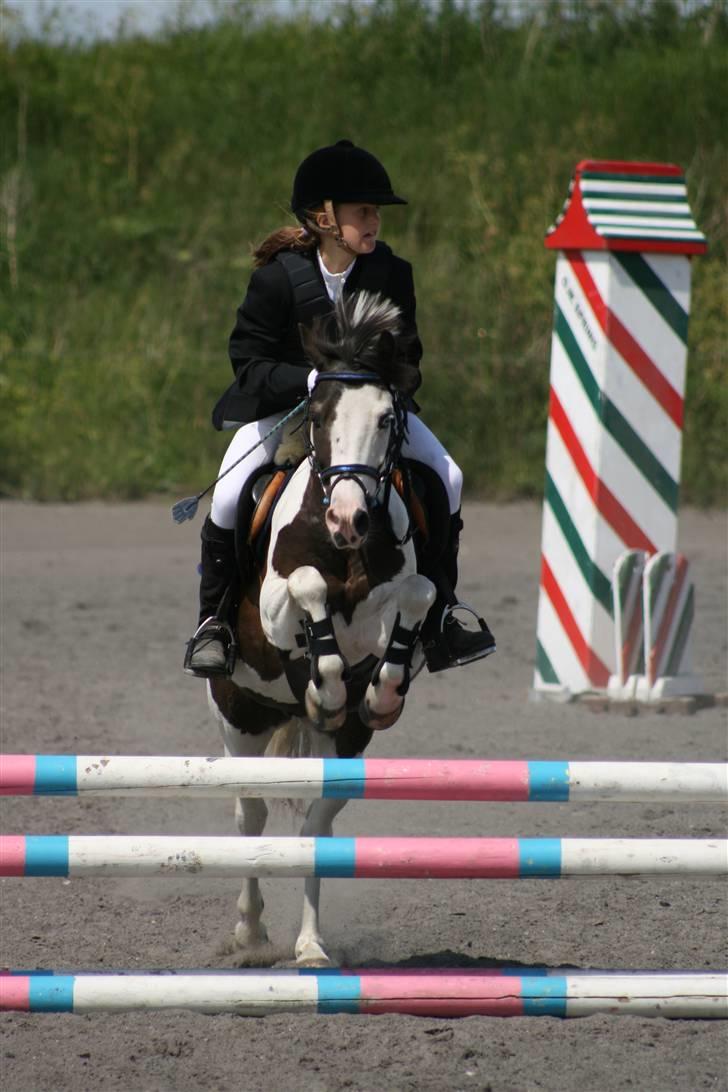 Spring i DSM rideklub den 21 juni 2009 billede 125