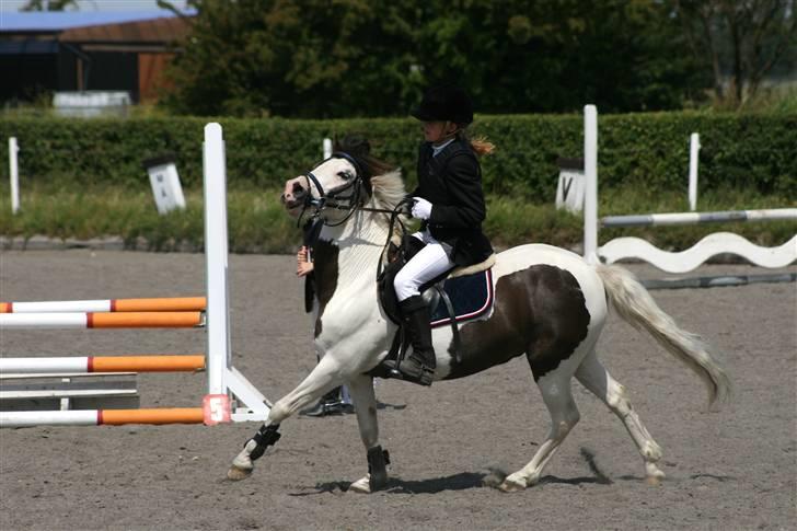 Spring i DSM rideklub den 21 juni 2009 billede 126