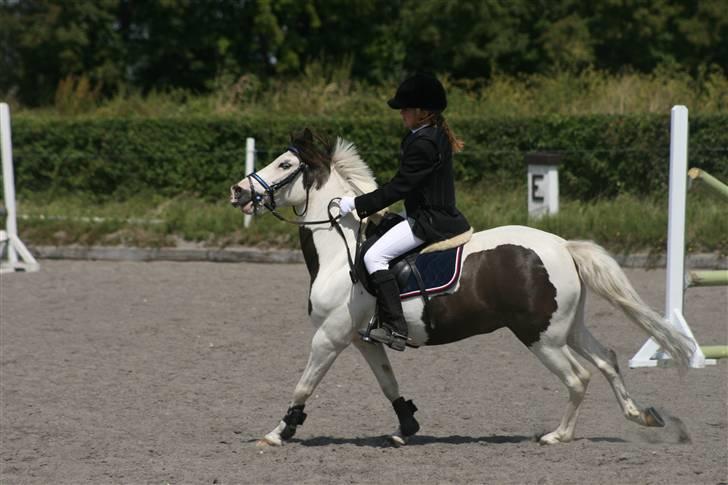 Spring i DSM rideklub den 21 juni 2009 billede 127