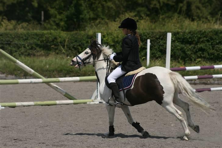 Spring i DSM rideklub den 21 juni 2009 billede 128