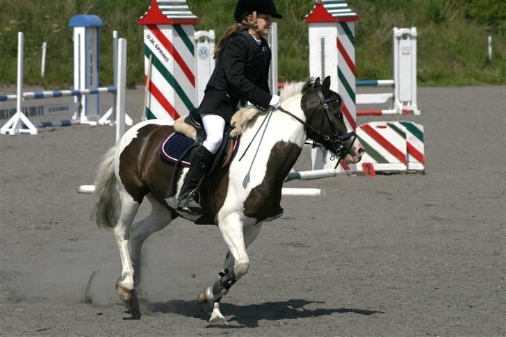 Spring i DSM rideklub den 21 juni 2009 billede 129