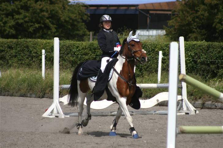 Spring i DSM rideklub den 21 juni 2009 billede 131