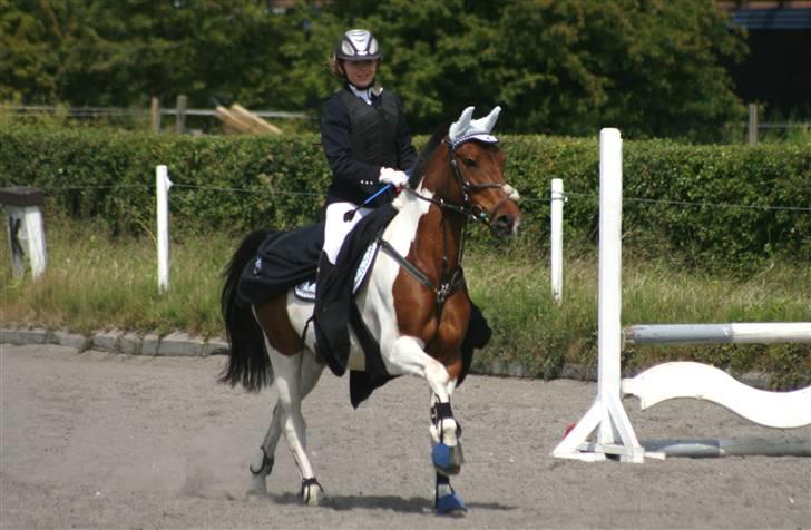 Spring i DSM rideklub den 21 juni 2009 billede 132