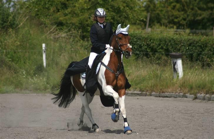 Spring i DSM rideklub den 21 juni 2009 billede 133