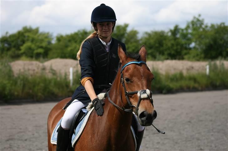 Spring i DSM rideklub den 21 juni 2009 billede 134