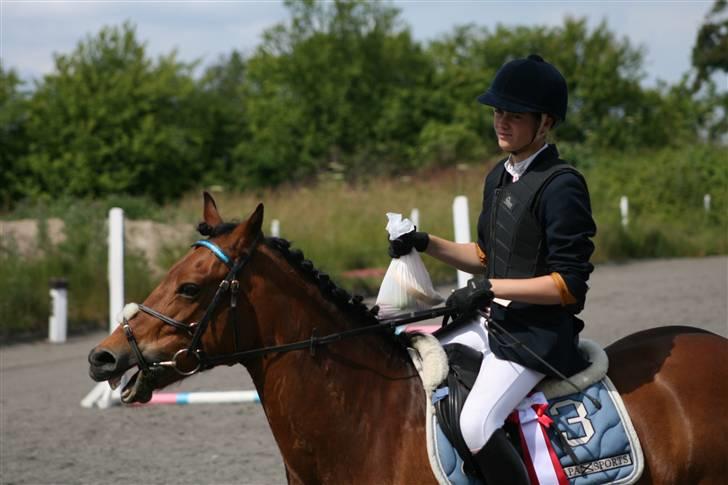 Spring i DSM rideklub den 21 juni 2009 billede 135