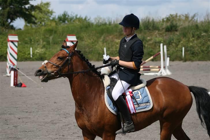 Spring i DSM rideklub den 21 juni 2009 billede 136